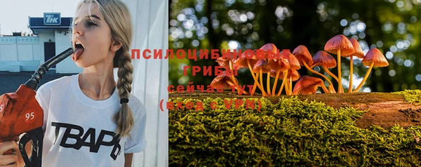 герыч Балахна