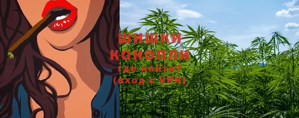 крисы Баксан
