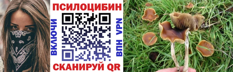 kraken ONION  Шилка  Галлюциногенные грибы мухоморы 